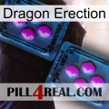 Dragon Erection 03